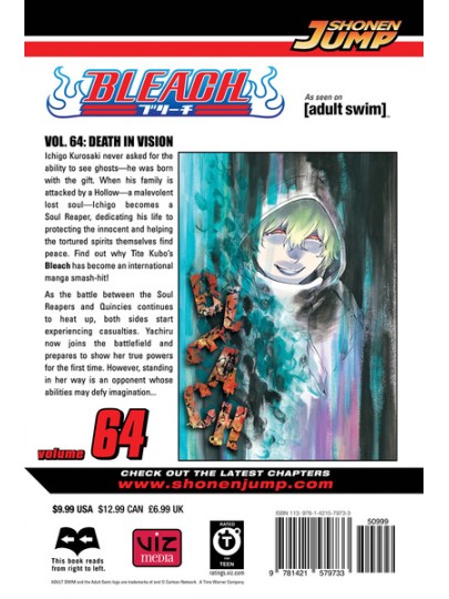 Bleach Vol. 64