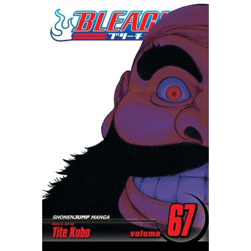 Bleach Vol. 67