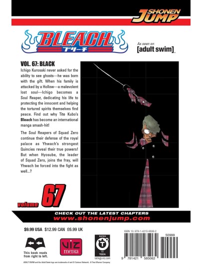 Bleach Vol. 67