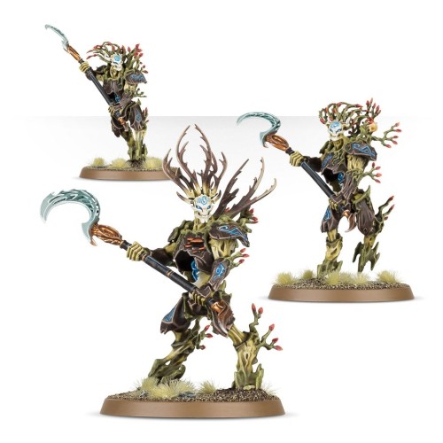 Warhammer Age of Sigmar - Sylvaneth: Kurnoth Hunters