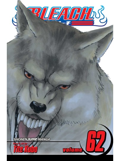 Bleach Vol. 62