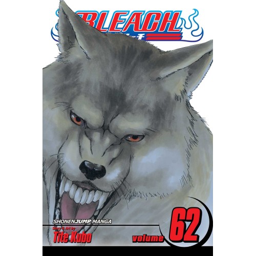 Bleach Vol. 62