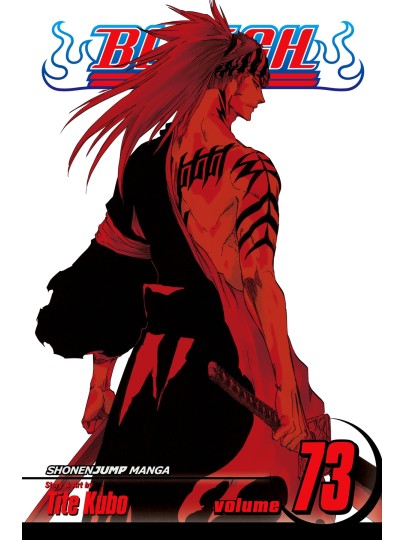 Bleach Vol. 73