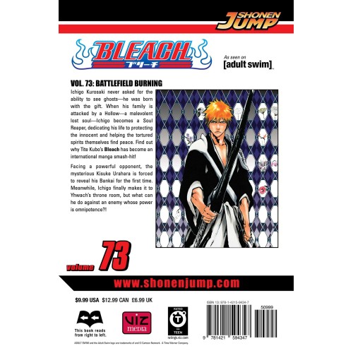 Bleach Vol. 73