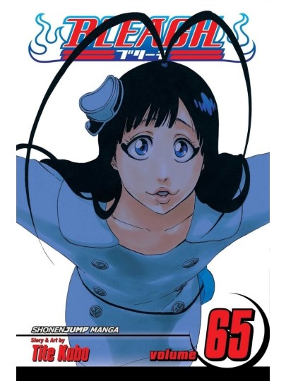 Bleach Vol. 65