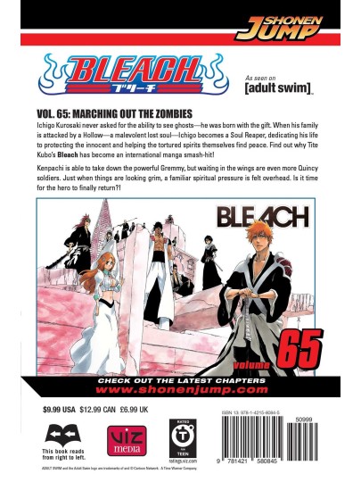 Bleach Vol. 65