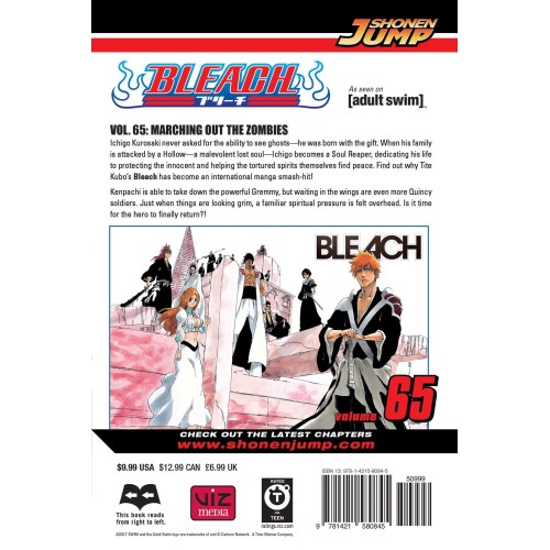 Bleach Vol. 65