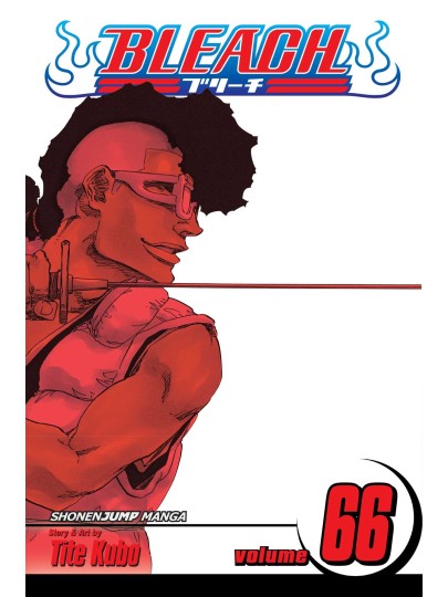 Bleach Vol. 66