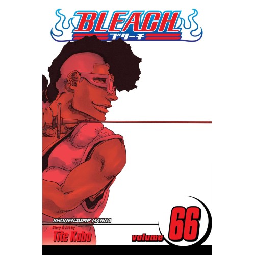 Bleach Vol. 66