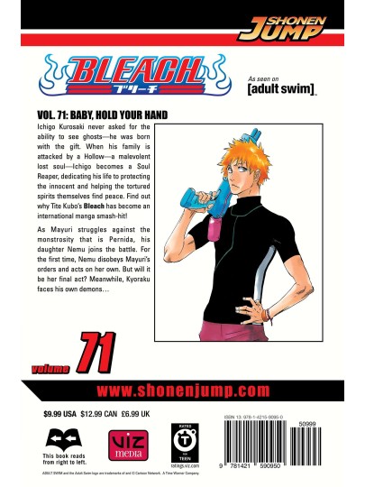 Bleach Vol. 71