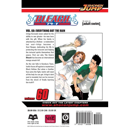 Bleach Vol. 60