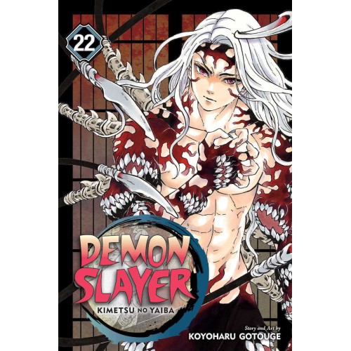 Demon Slayer kimetsu No Yaiba Vol. 22