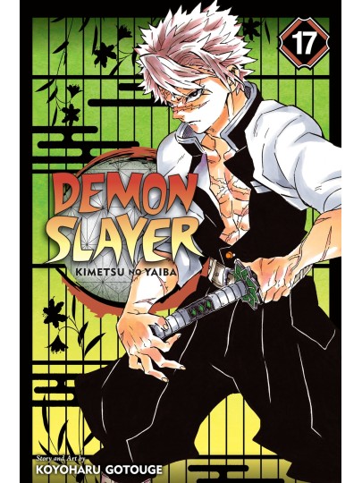 Demon Slayer Kimetsu No Yaiba Vol. 17