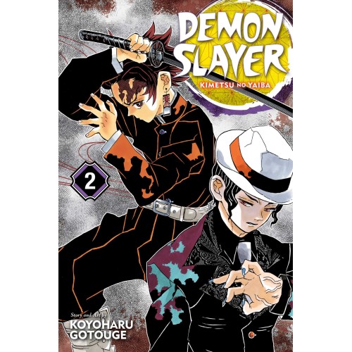 Demon Slayer Kimetsu No Yaiba Vol. 02