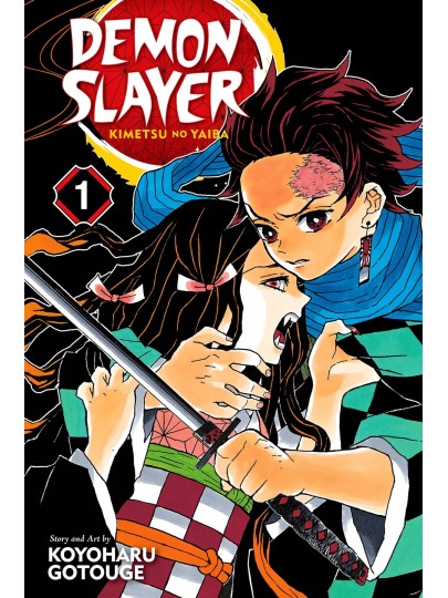 Demon Slayer Kimetsu No Yaiba Vol. 01