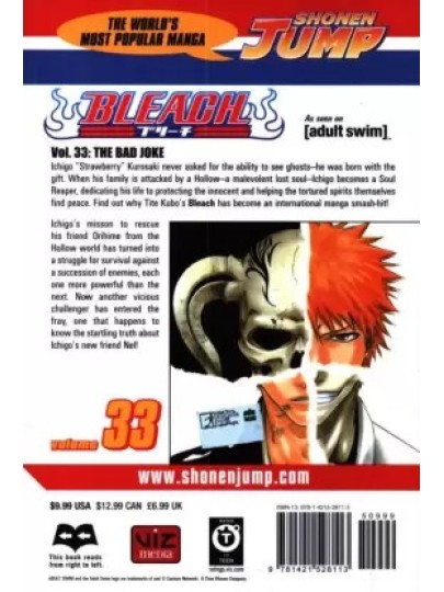 Bleach Vol. 33