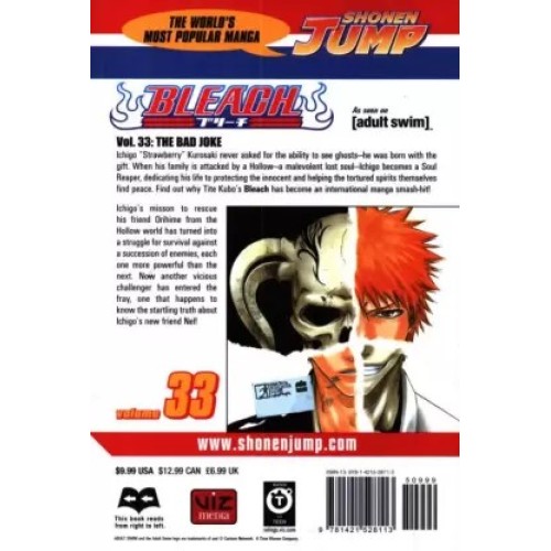 Bleach Vol. 33