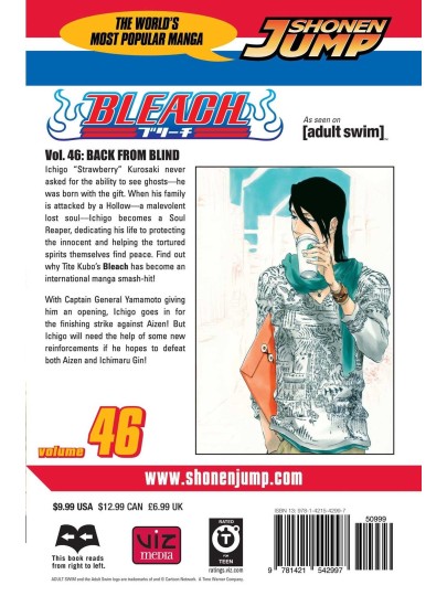 Bleach Vol. 46