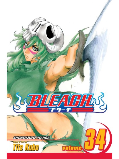 Bleach Vol. 34