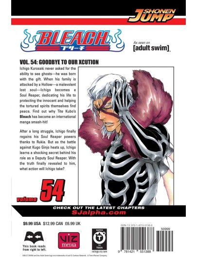 Bleach Vol. 54