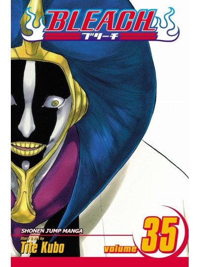 Bleach Vol. 35