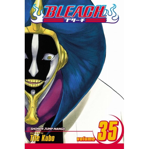 Bleach Vol. 35