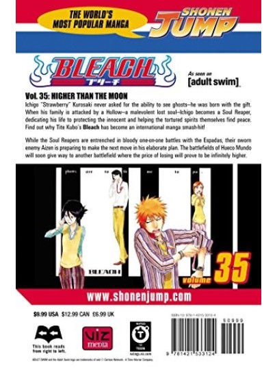 Bleach Vol. 35