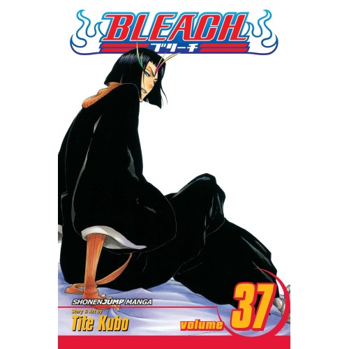 Bleach Vol. 37