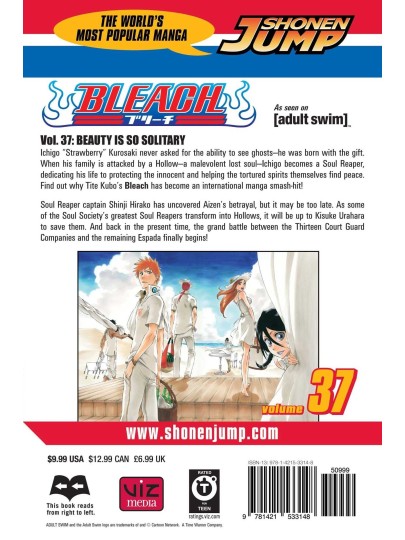 Bleach Vol. 37