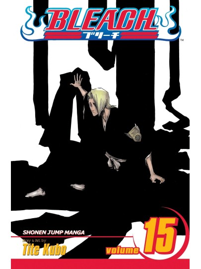 Bleach Vol. 15