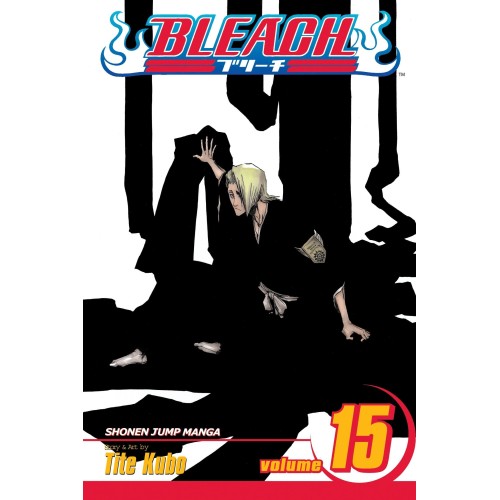 Bleach Vol. 15