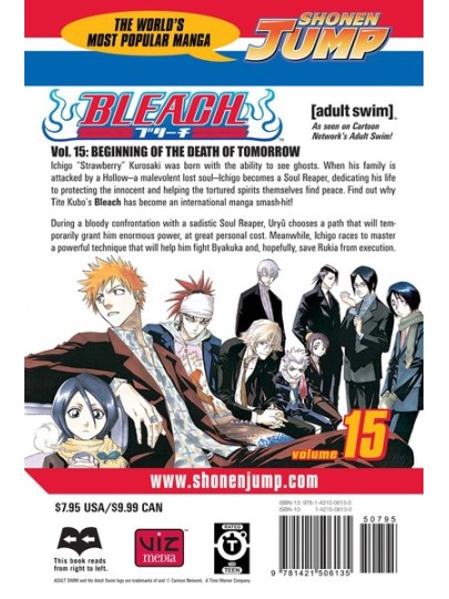 Bleach Vol. 15