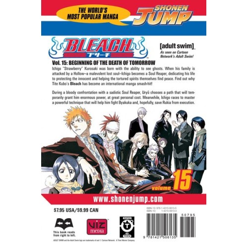 Bleach Vol. 15