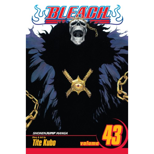 Bleach Vol. 43