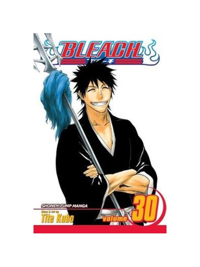 Bleach Vol. 30