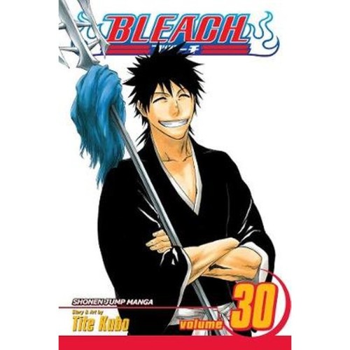 Bleach Vol. 30