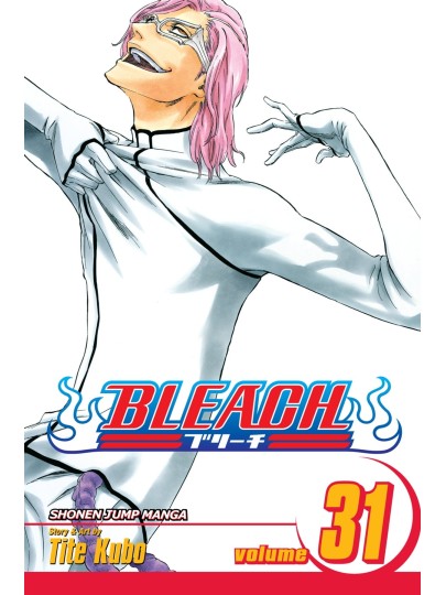 Bleach Vol. 31