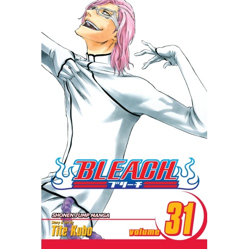 Bleach Vol. 31