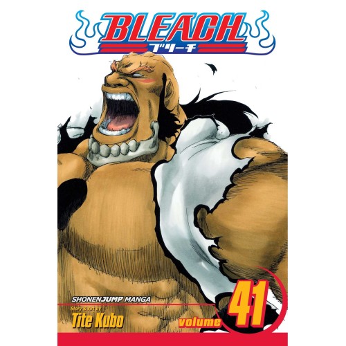 Bleach Vol. 41