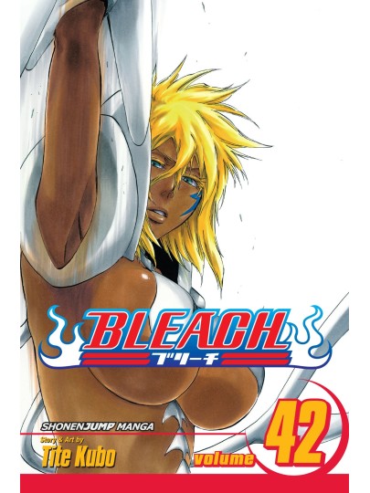 Bleach Vol. 42