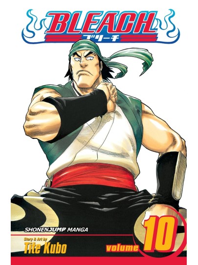 Bleach Vol. 10