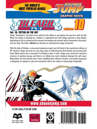 Bleach Vol. 10