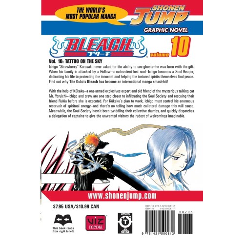 Τόμος Manga Bleach Vol. 10