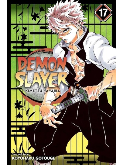 Demon Slayer Kimetsu No Yaiba Vol. 17