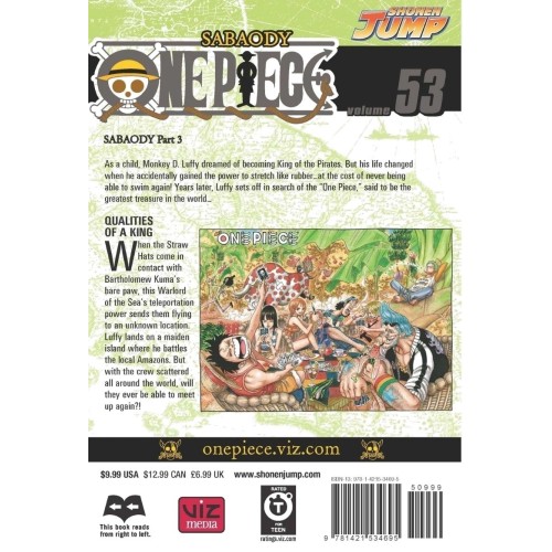 Τόμος Manga One Piece Vol. 53 (New Printing)